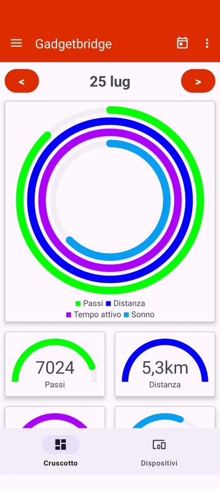 Gadgetbridge app